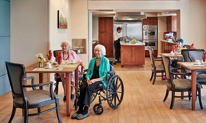 Частный дом престарелых: достоинства и условия