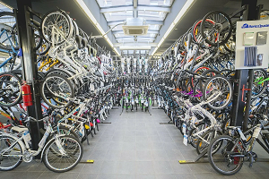 Как правильно выбирать велосипеды и где можно купить