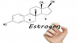 Эстроген: парадоксальное явление для женского здоровья