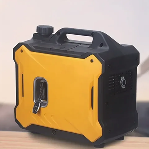 ����������� ����������: �� ���������� � ������������ � ��������� ���������