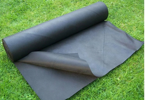 �����������: ����, �������� � ������ �� ����������� ������ ��� ��������� ���������