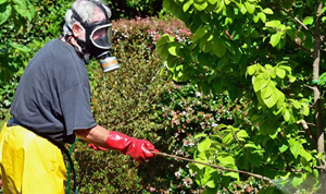 ������� � ������ �� ������ �������� �� ���������� ��� ��������� ����