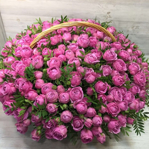 �������� ���� ������ ��� ������ � ������ �� �� ������ ��� ������ �������