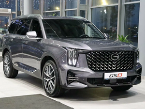 ����������� GS8: ����� �����������, ������������� � ������������ ������